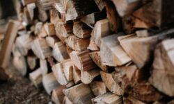 Bois étuvé : comment fonctionne le séchage en étuve et pourquoi le choisir ?