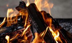 Bois qui noircit mais ne brûle pas : causes, diagnostic et solutions