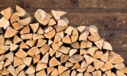 Les meilleurs fournisseurs de bois de chauffage en France en 2026