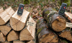 Poids Stère de Bois : Choisir pour un Chauffage Optimal
