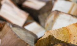 Le frêne : un bois de chauffage de qualité supérieure