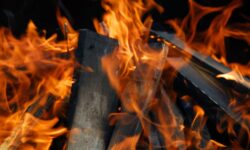 Arnaques de bois de chauffage : Liste des sites frauduleux