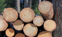 Comment faire ses propres bûches de bois de chauffage ?